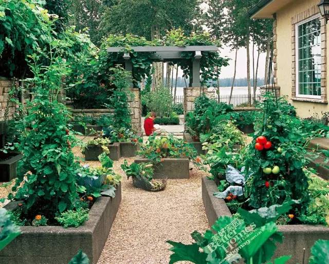 造,一座美丽的蔬菜花园_种植
