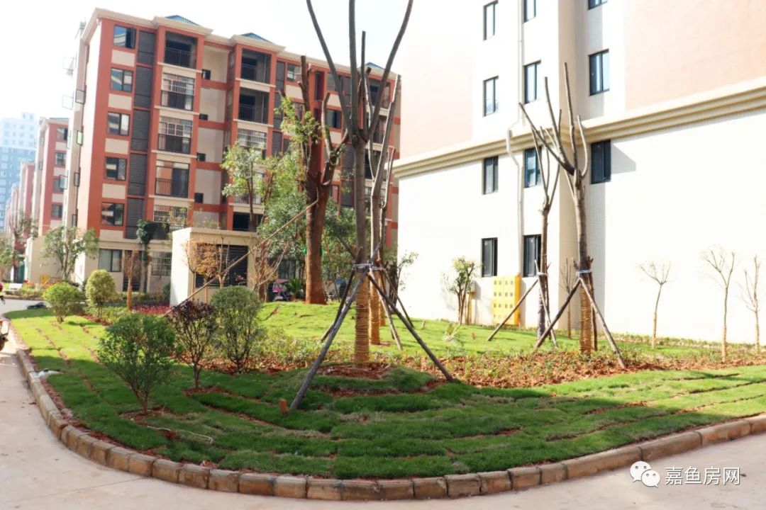 全力以"复" 再起征程 | 锦绣家园营销中心即将复工开放!_嘉鱼县