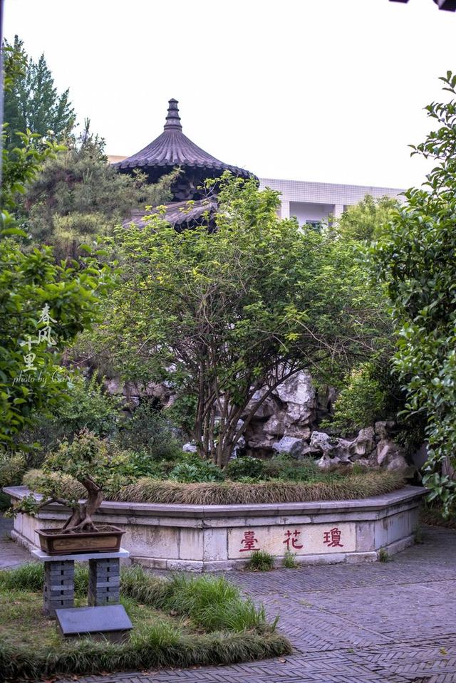 进门之后,眼前就是"琼花台"了,因其侧壁上红字很是醒目,琼花观看到"