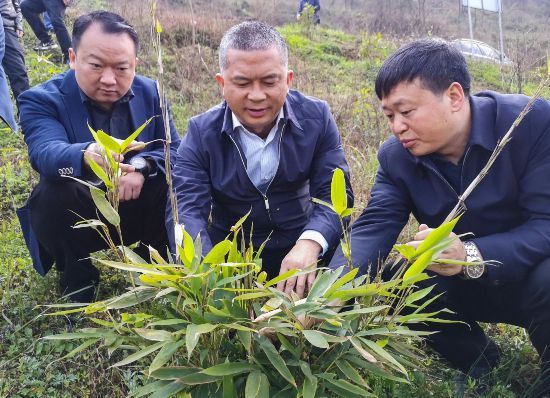 龙斌到小水督导检查产业结构调整和脱贫攻坚