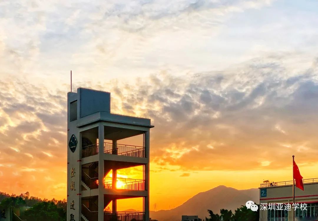 民办之光亚迪学校线上开放日来了