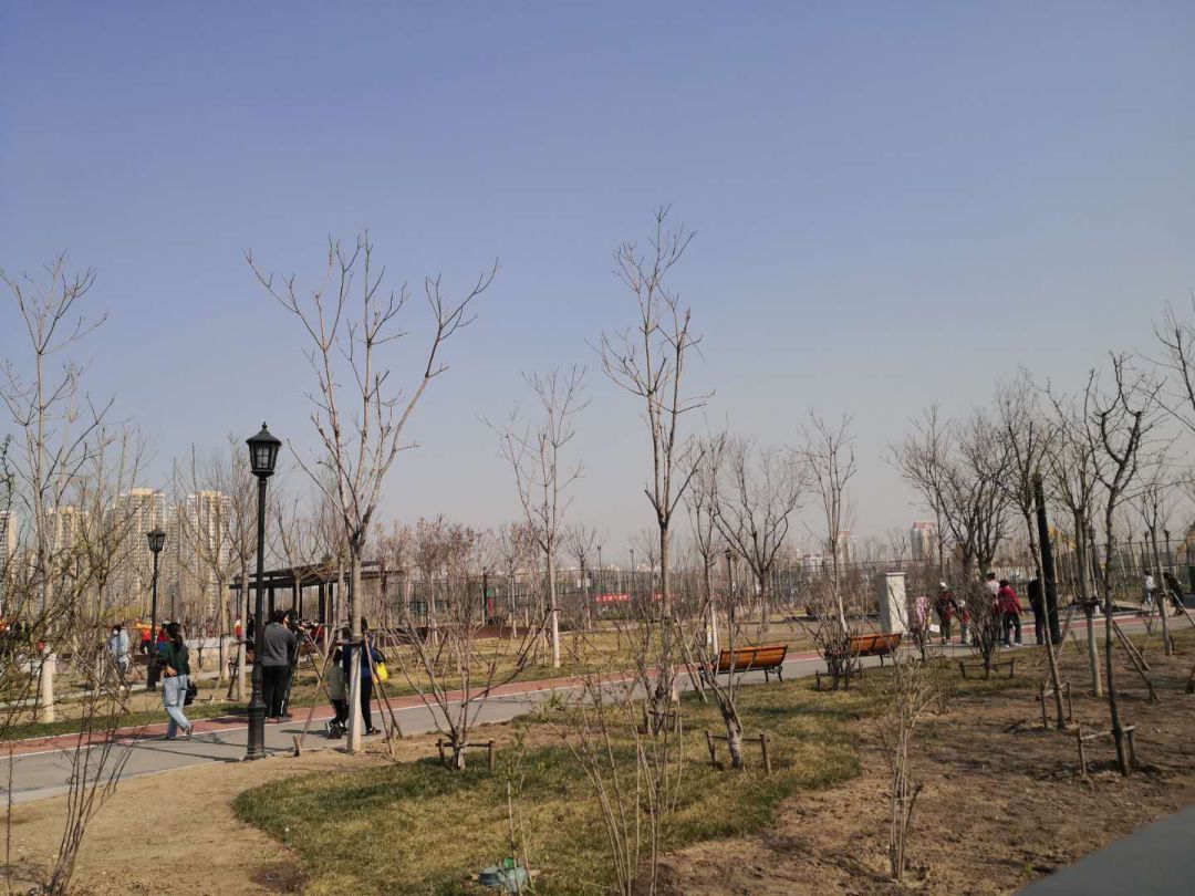 设施恢复津南区体育公园试开放区文旅局做好体育设施检查工作