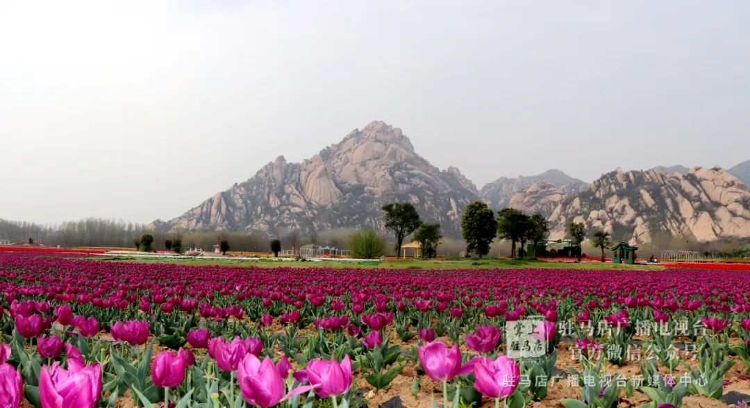 1024重磅重磅河南下发最新通知驻马店这两个景区3月24号恢复开放