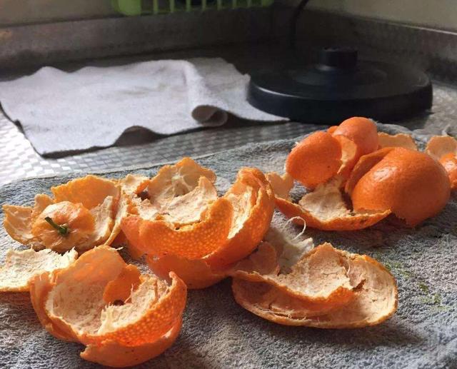 3种"厨房垃圾"来养花,沤成花肥来养花,今年花肥钱省了