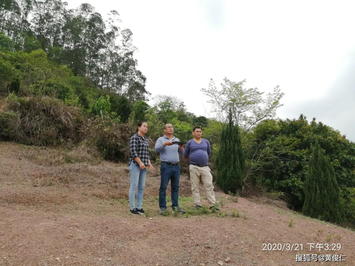 乾方山形似宝塔,右边艮寅山蛮秀气饱满,甲卯方有暗峰,像似贵人登天马