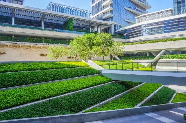 绝对实用绿化地被放线手法运用