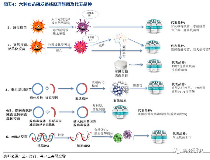 【粤开医药专题研究】新冠疫苗离我们还有多远