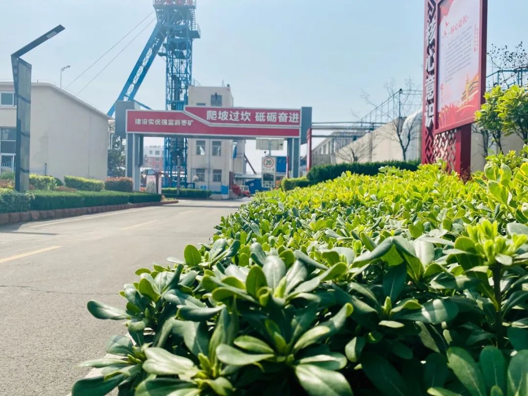 山能新矿黑沟煤业 阙欢欢 摄组图《春风颂党恩》山能新矿协庄煤矿