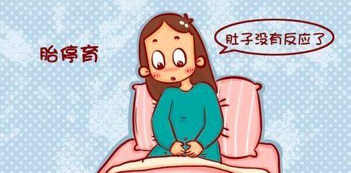 为什么会出现胎停育可以提前预防避免吗