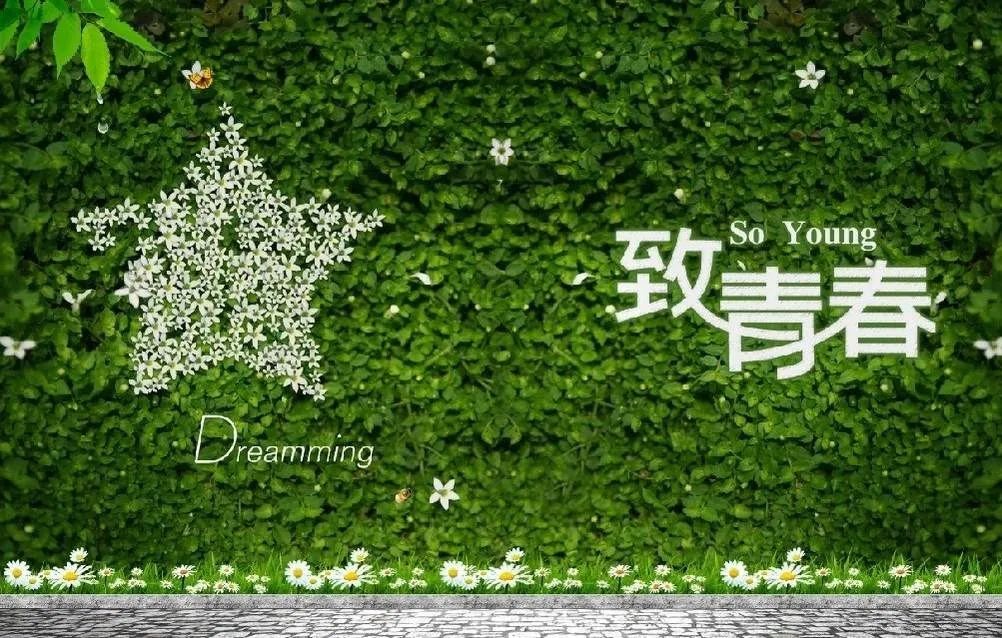 青春修炼场期待你的声音