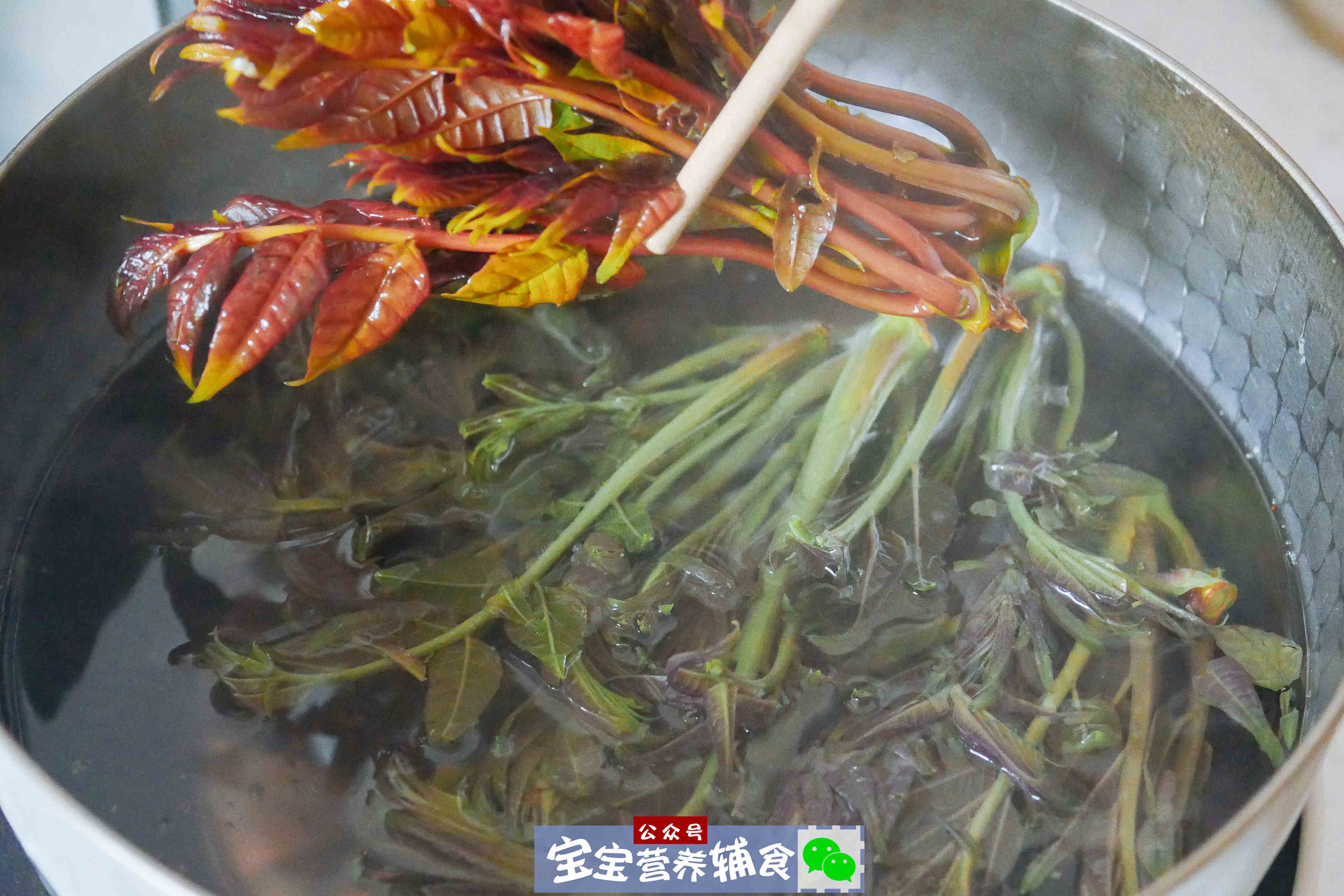 切丝后焯水,颜色清新又好看哟~准备食材:香椿100g,紫苏籽油60g,猴头菇