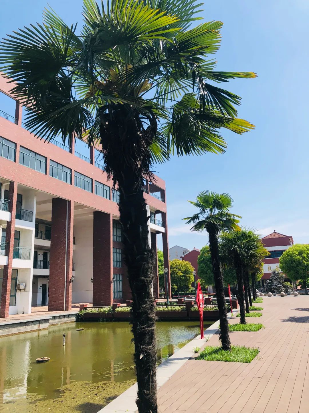 摄影:沈丽花以上图片摄影:冷杨江苏省江阴长泾高级中学摄影:方菲江阴