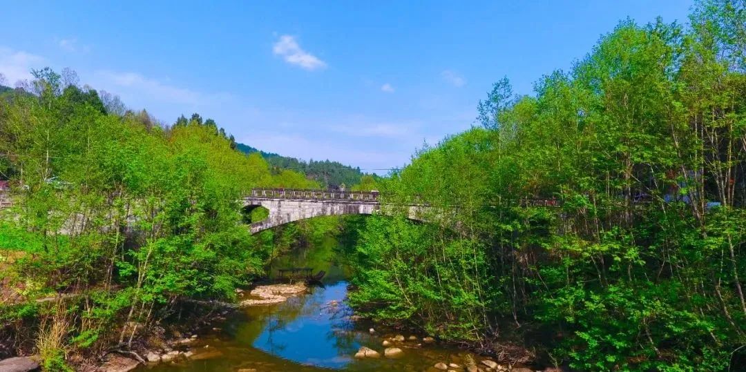 阆中杨家河看得见山望得见水记得住乡愁