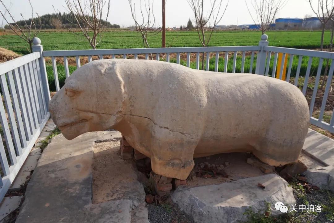 原创唐献陵新出土的玄武门石老虎北门遗址