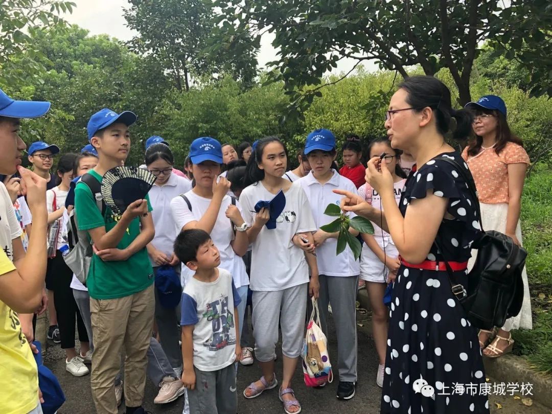 2020第5期2020上海市康城學校網上校園開放日