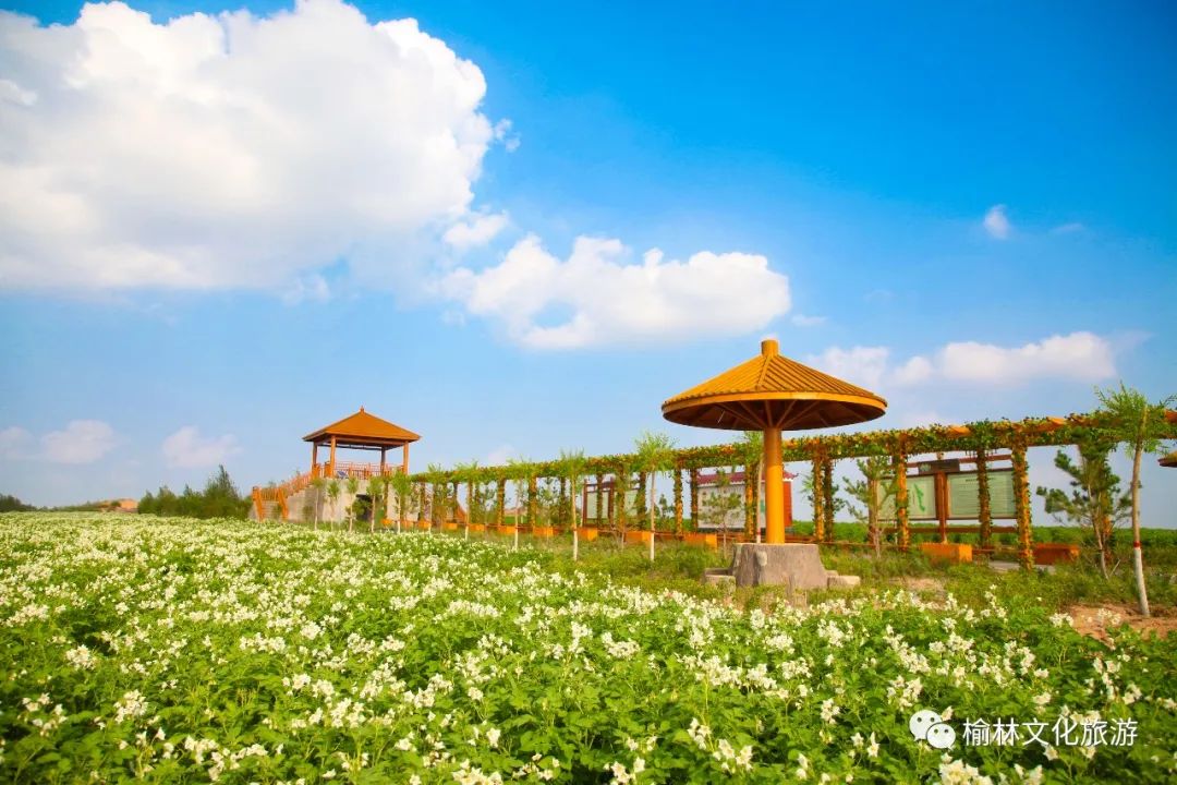 推進旅遊景區創建,青雲山,神木市碧麟灣,子洲縣南豐寨等景區創建3a級