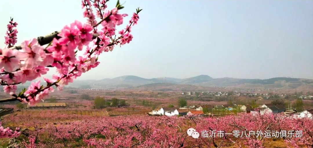 【臨沂·一零八戶外】3月25日(週三)蒙陰舊寨賞桃花朵朵醉春風,休閒