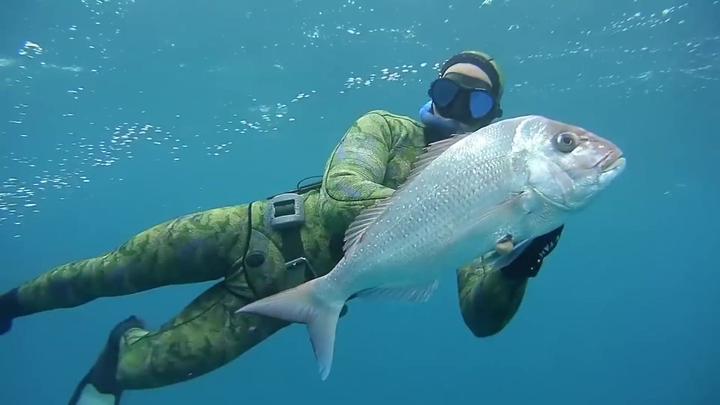 专业潜水员与大鱼在大海上捕鱼