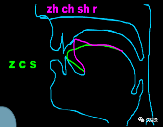 借助zh,ch,sh与z,c,s发音舌位图片对比,帮助学生准确区分这两组声母