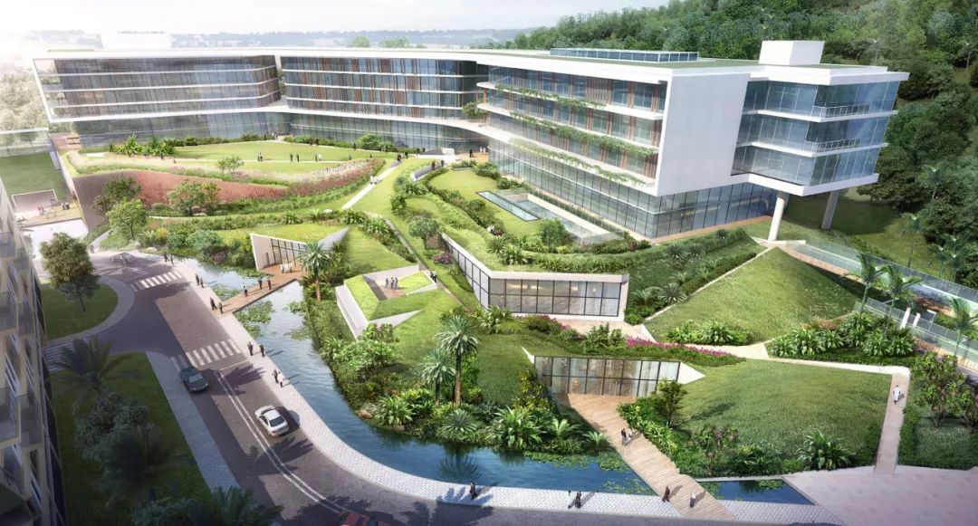 打造绿色生态的疗愈康复花园深圳肿瘤医院改扩建二期这样建