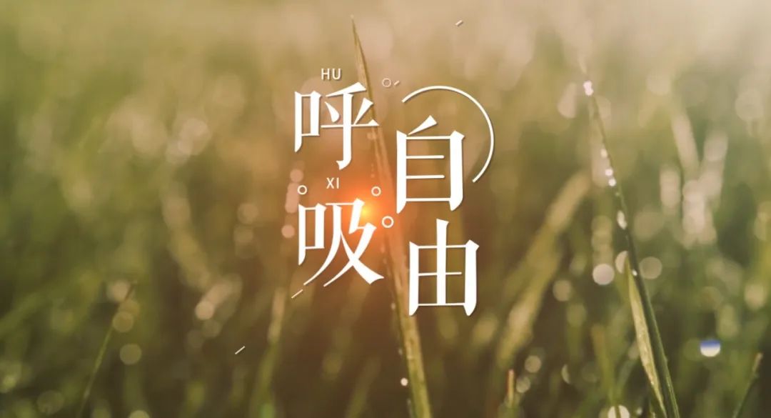 视频自由呼吸湖南结核病防治主题mv发布