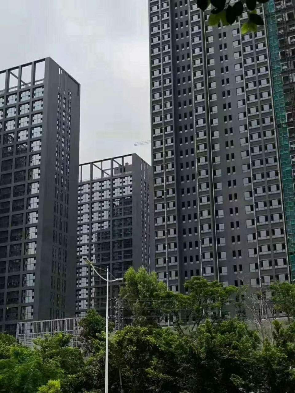 小李带你看深圳第三期龙岗篇