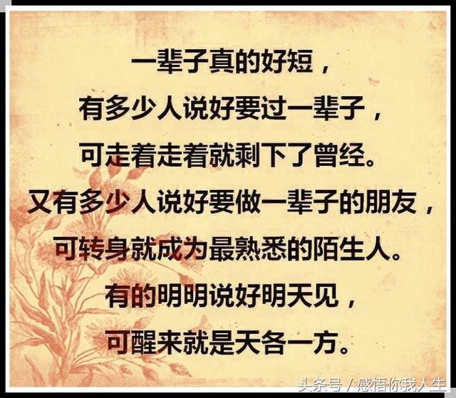 请好好珍惜身边的人