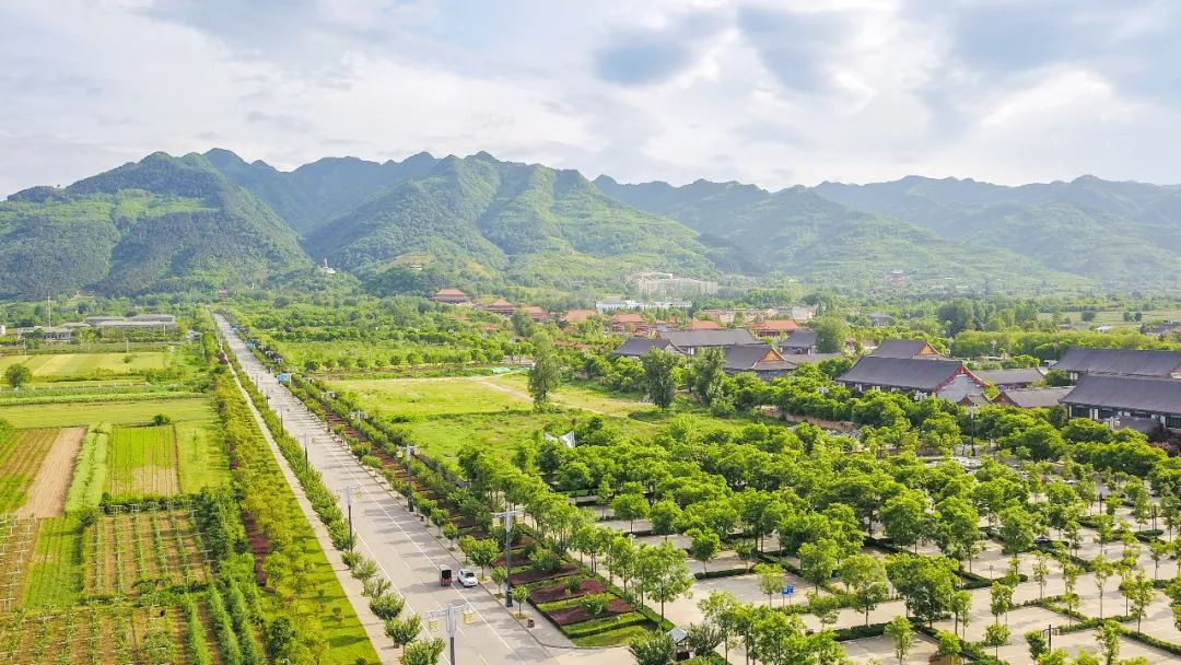 每到阳春三月楼观宗圣宫遗址的红梅竞相绽放,美如仙境就连央视都对它