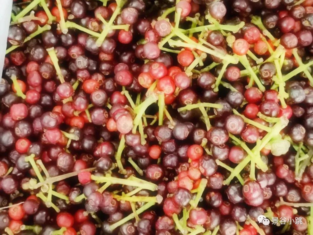 泡们果熟了,还有人叫"干天果"和羊奶果是同步的记忆,那满山的野杨梅也