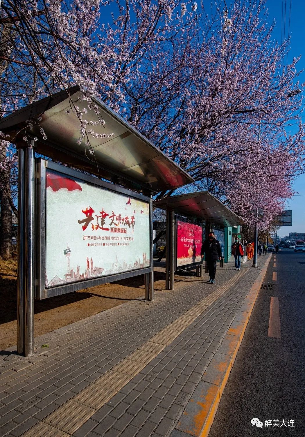 美爆了这是大连公交站