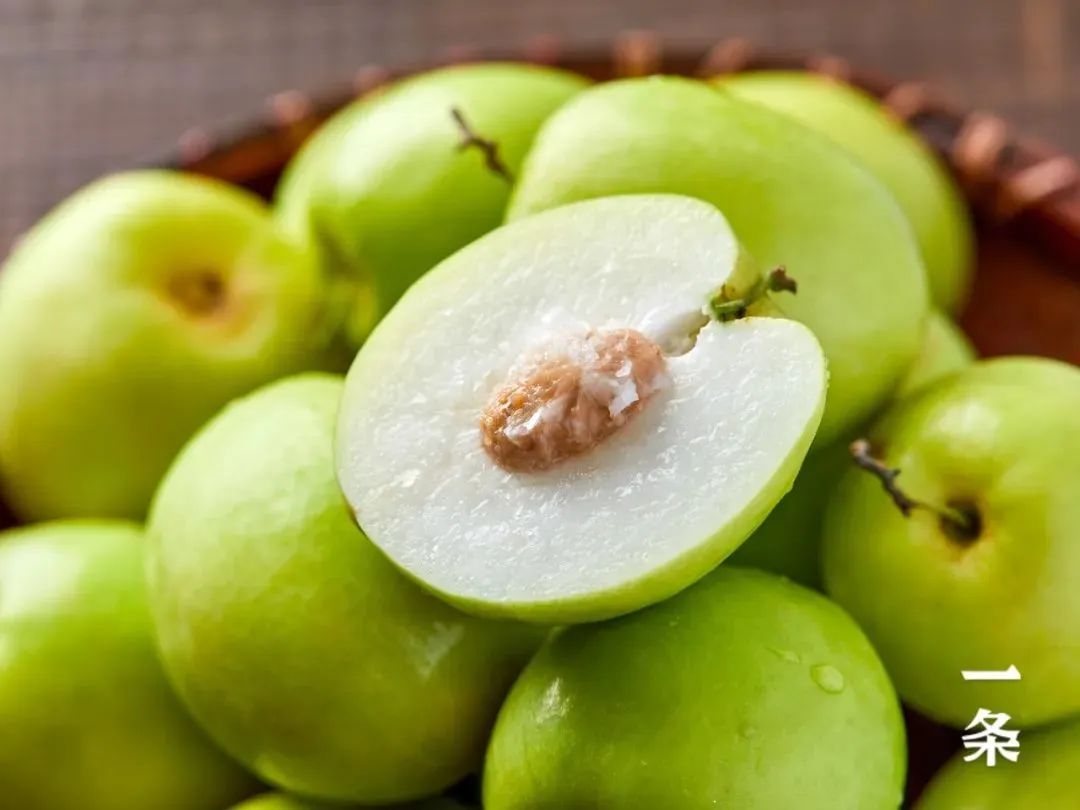 一赞好物丨肉多核小的牛奶枣个头比鸡蛋还大