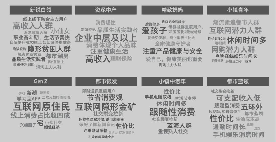 后电商时代,洞察 8 大消费群体与品类增长策略_人群