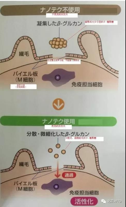 香菇多糖结构图片