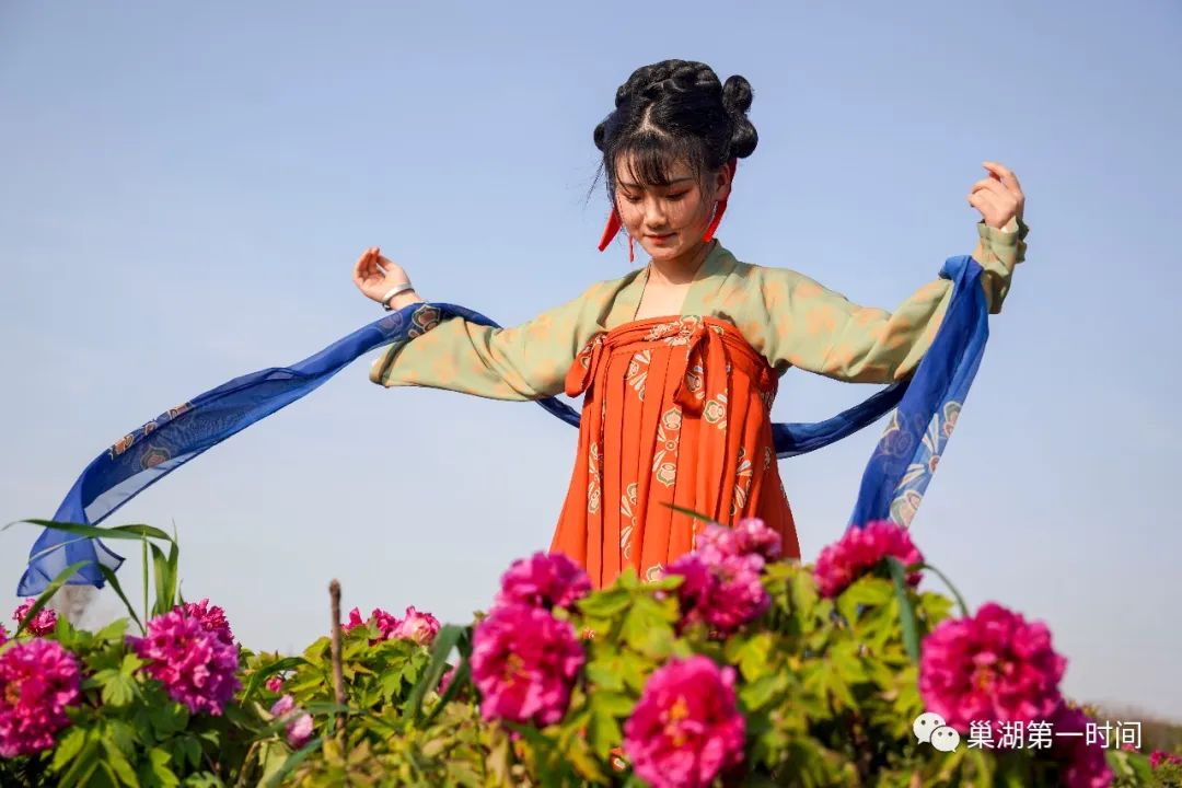 600畝牡丹花海還真有就在烔煬堯舜牡丹園