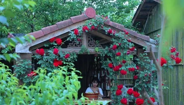 如果把李子柒的院子搬到佛山
