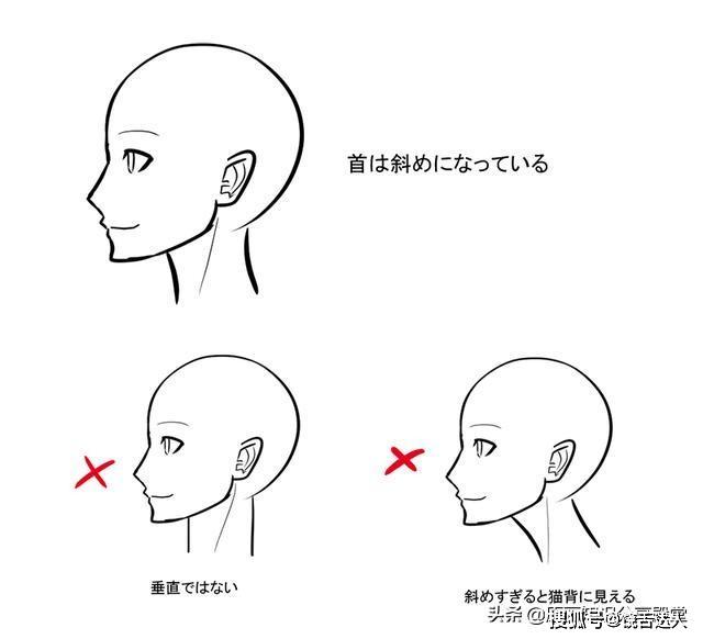 輕備學院動漫人物頭部怎麼畫新手入門的頭部繪畫教程