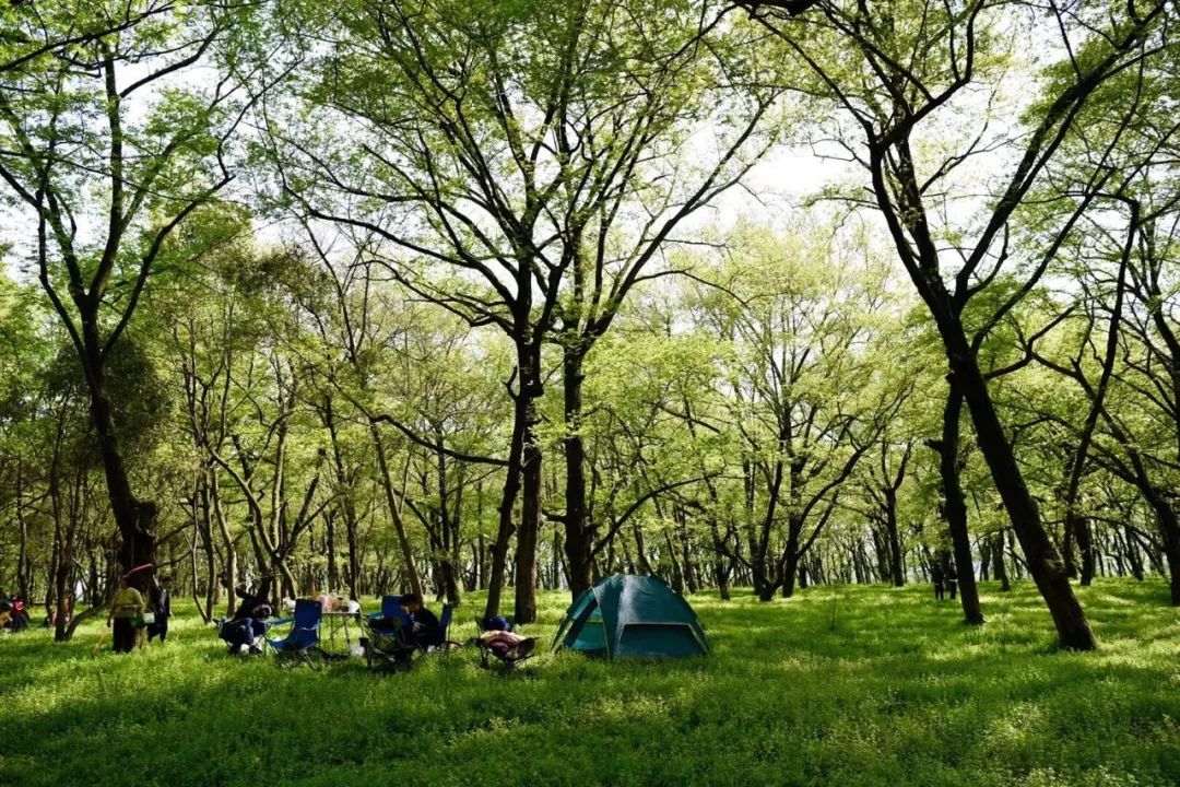 (摄影:同舟) 1,岱山线:鹿栏晴沙——海岬公园——东沙古镇——双石