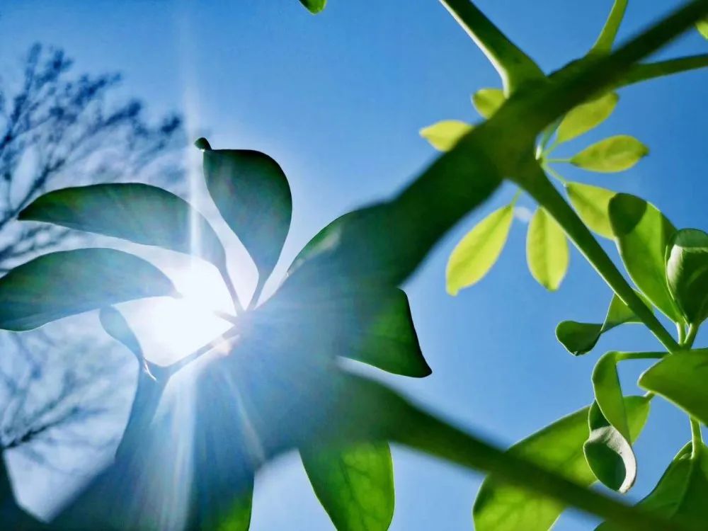 【校园杂谈】春天如约而至_万物