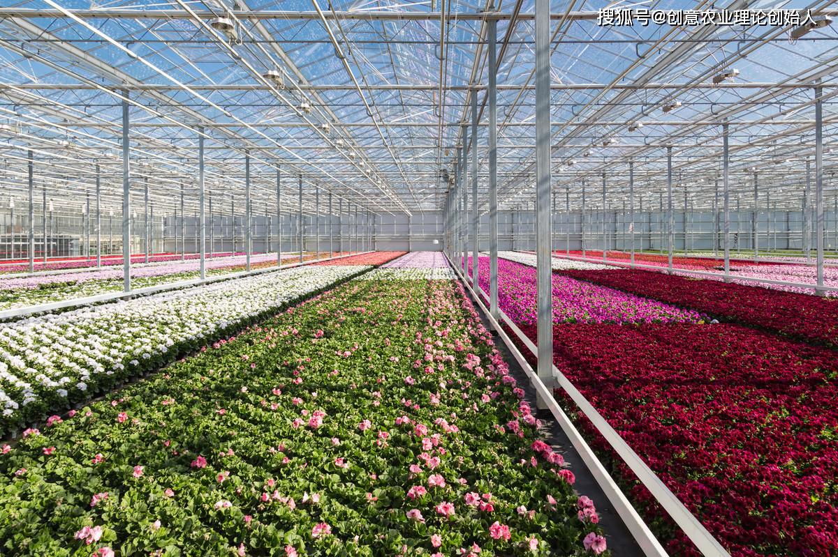 章继刚:人工智能助推鲜花旅游活力倍增_花卉