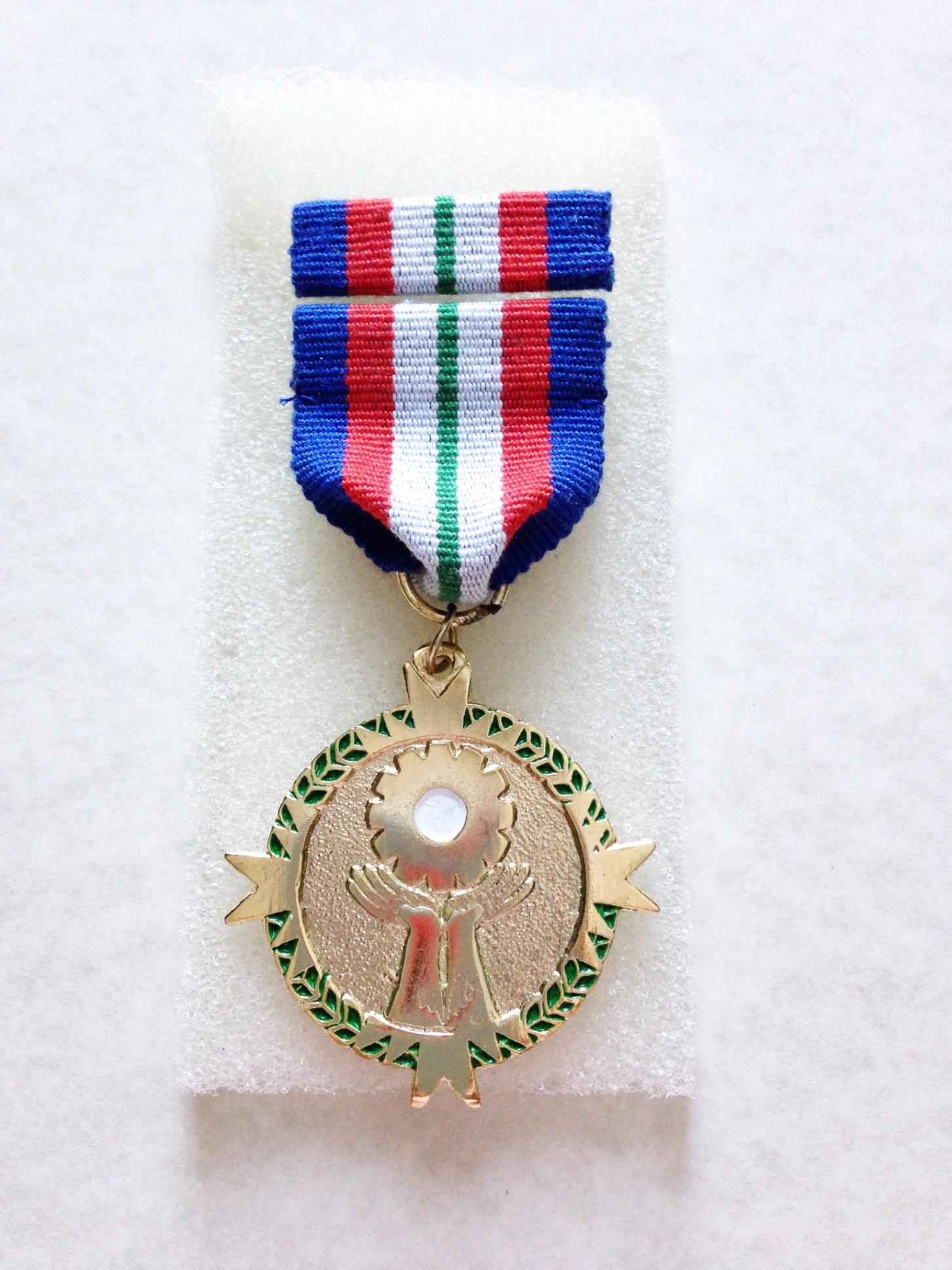 菲律宾总统女儿晋升陆军预备上校获得一身奖章威武霸气