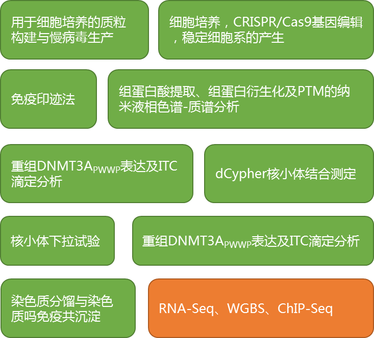 nsd1介導的h3k36me2是dnmt3a募集和基因間區dna甲基化維持所必需的