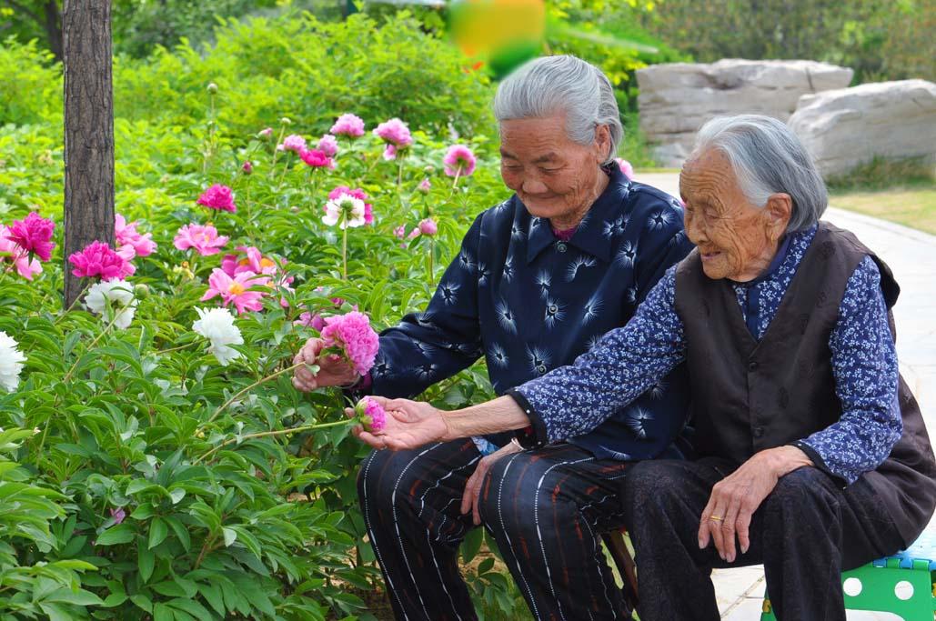 农民幸福指数上升农村发展越来越好了一年一个样你们那里的农村变化快
