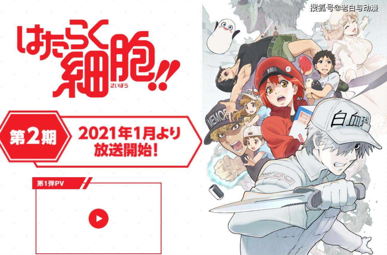 《工作细胞》第二季pv公布,主人身体进入异物,细胞们又要遭殃了