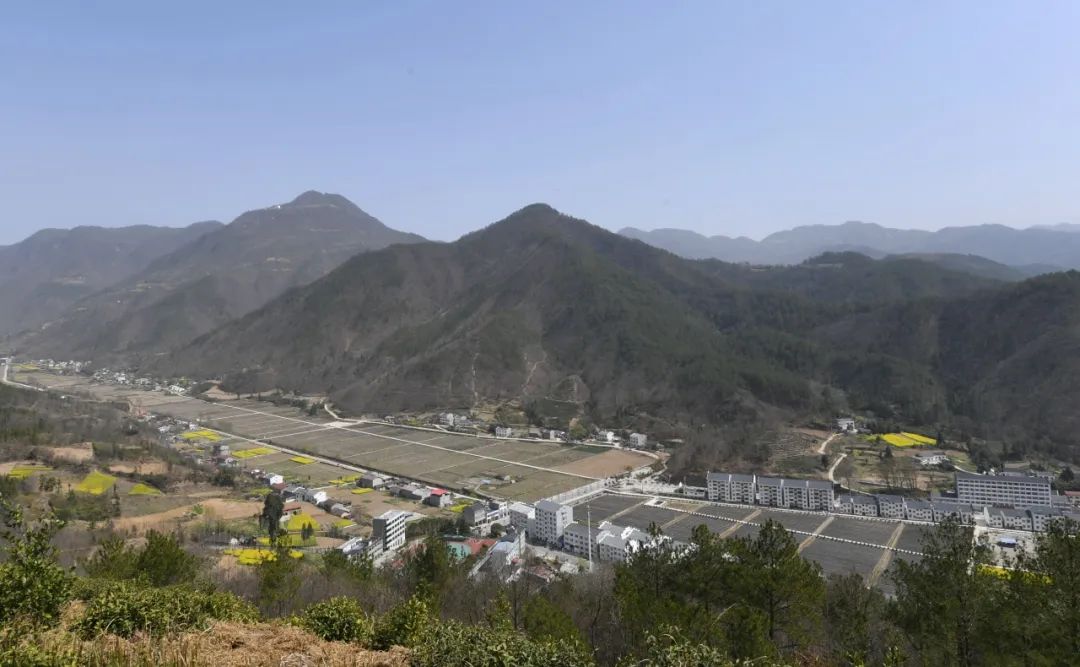 以石榴为媒结致富之果两峪乡加快建设群众致富的高速路