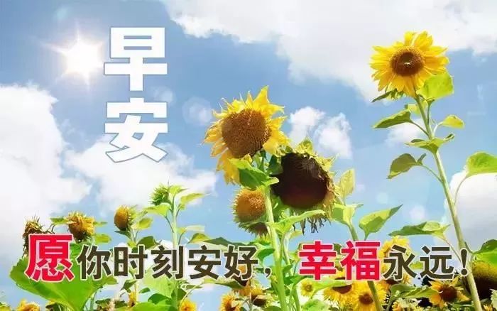 早上好表情包早上好圖片大全溫馨2020