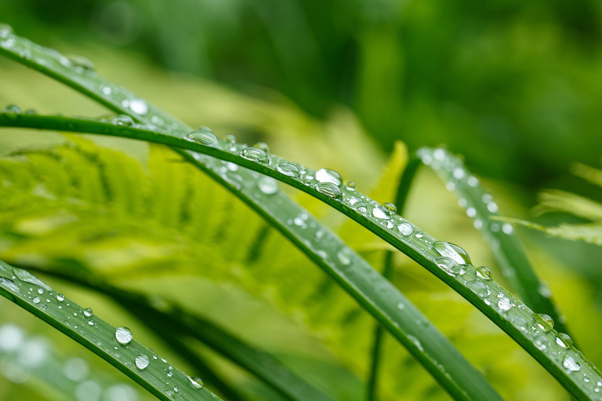 杏花春雨蒙蒙细雨 细雨如烟 雨帘悬挂 和风细雨细雨如丝 牛毛细雨 淅