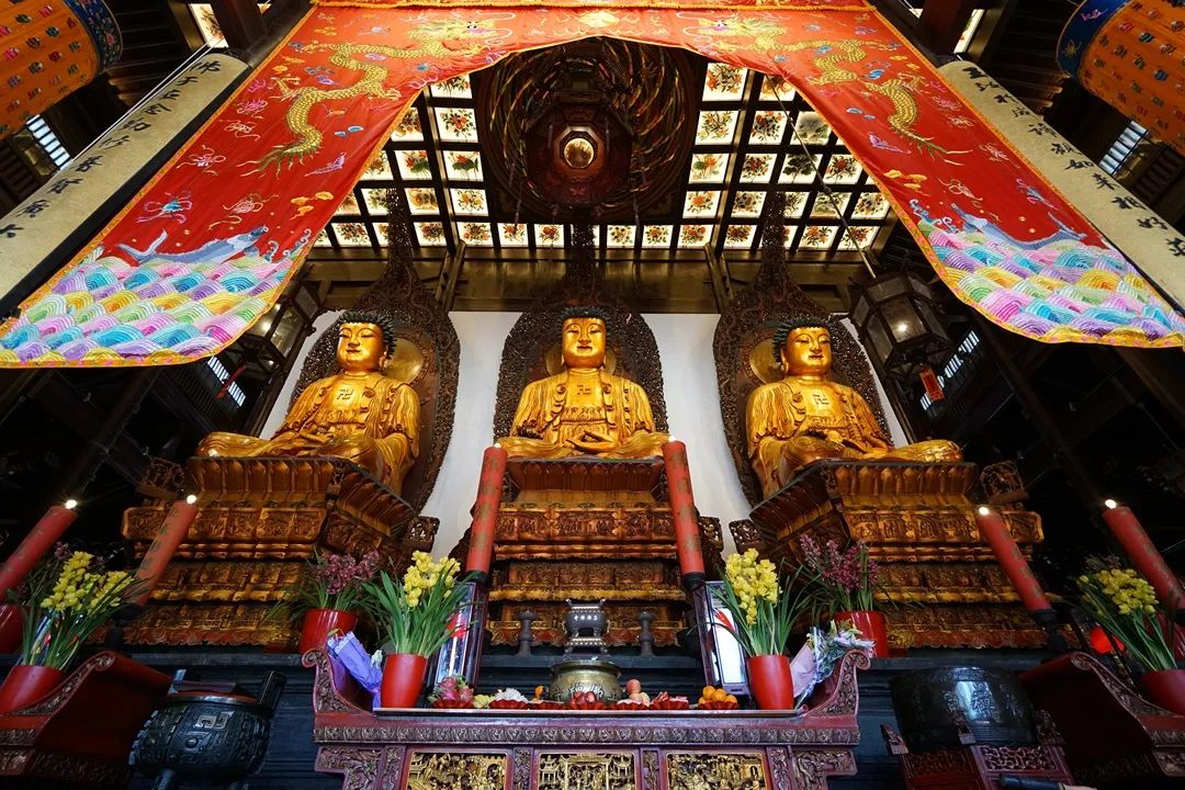 三月初一跟着镜头一起走进玉佛禅寺