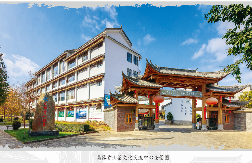 一生做好一件事完成三个心愿记腾冲高黎贡山生态茶业公司董事长陈亚忠