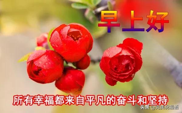 清早問候大家早上好的漂亮祝福圖片最美早上好問候語圖片