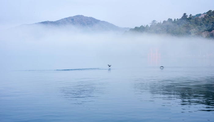 海尔美的格力等空调巨头们激战56度C，这次谁又能笑到最后？-家电圈官网